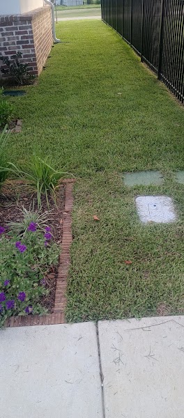Photo of Sod Outlet
