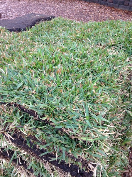 Photo of Woerner Landscape Source