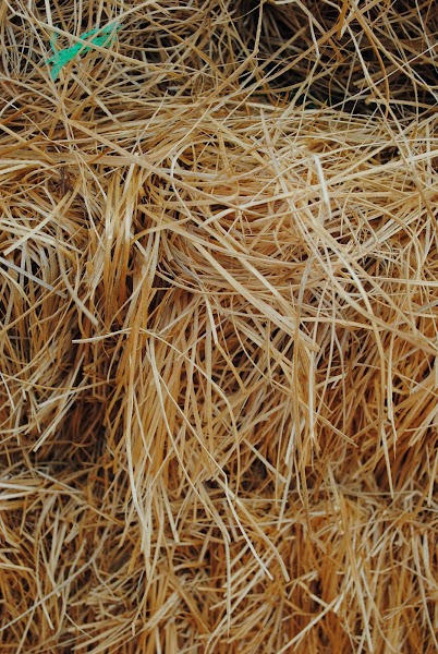Photo of Woerner Landscape Source